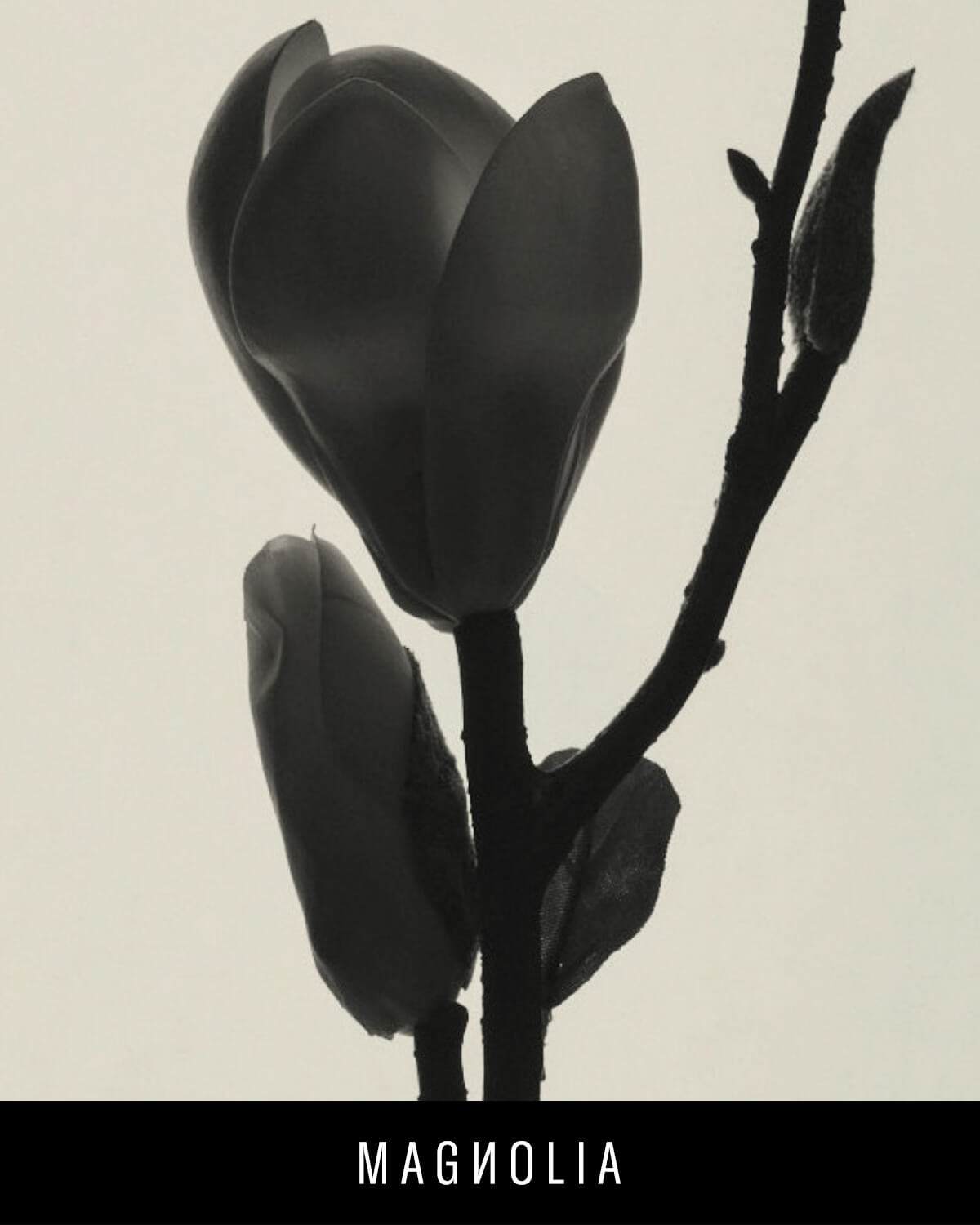 Fenty Eau De Parfum Travel Set + Refills - Image 4