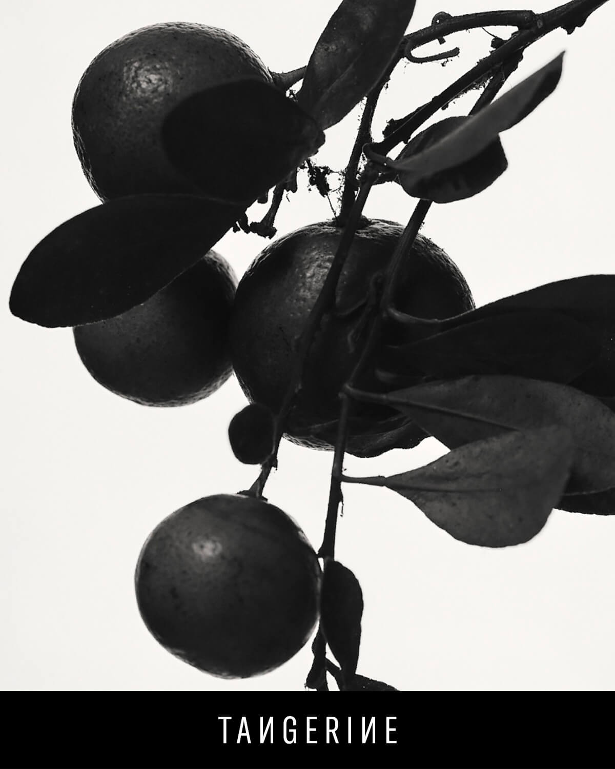 Fenty Eau De Parfum Travel Set + Refills - Image 6