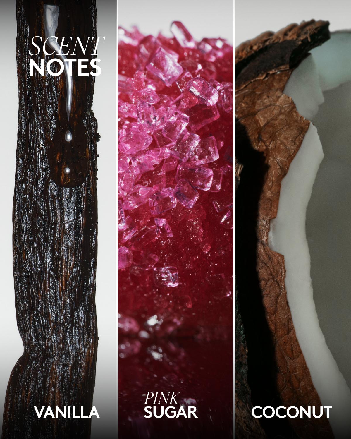 Butta Drop Hydrating Body Milk — Vanilla Dream - Image 3