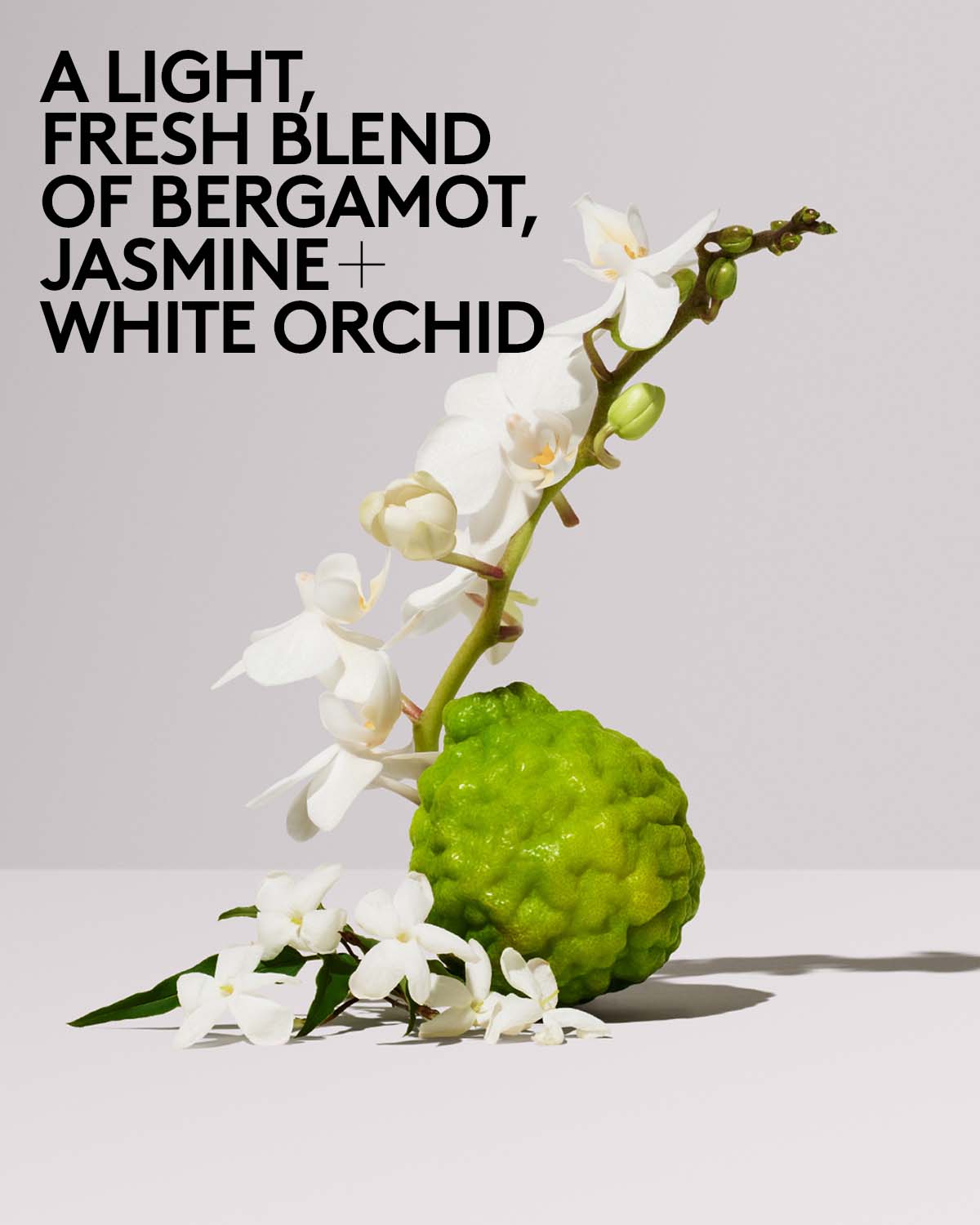 Butta Drop Hydrating Body Milk — Fenty Fresh - Image 7