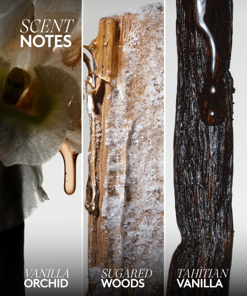 Alternative view of Body Start'r Set Full-Size Bundle